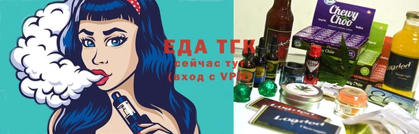 индика Новодвинск