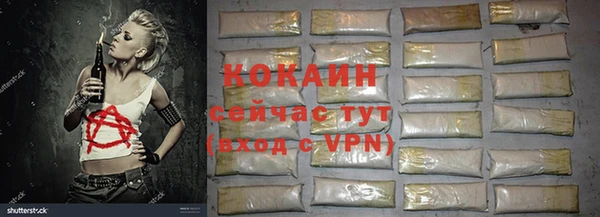 индика Новодвинск