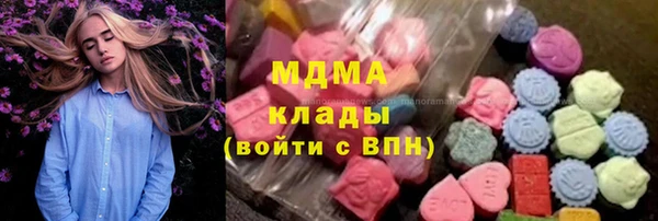 стаф Новокубанск