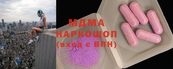 индика Новодвинск