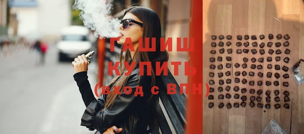 индика Новодвинск