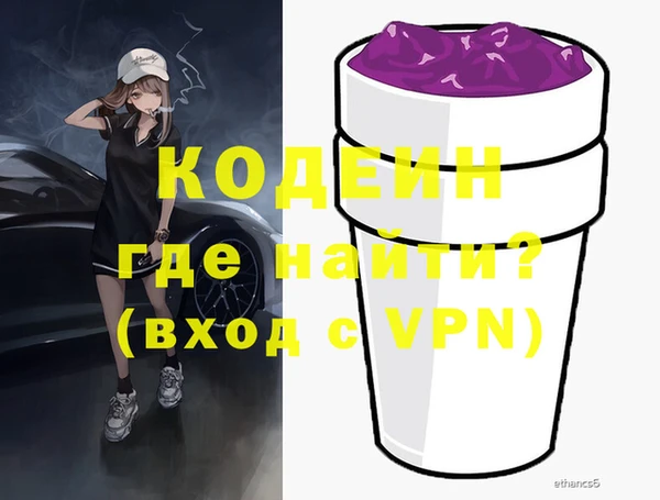 индика Новодвинск