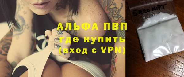 стаф Новокубанск