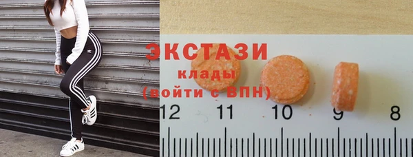 индика Новодвинск