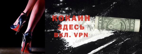 стаф Новокубанск