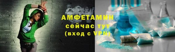 индика Новодвинск