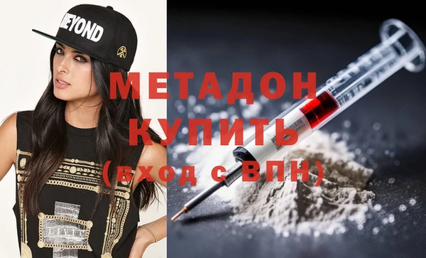 индика Новодвинск