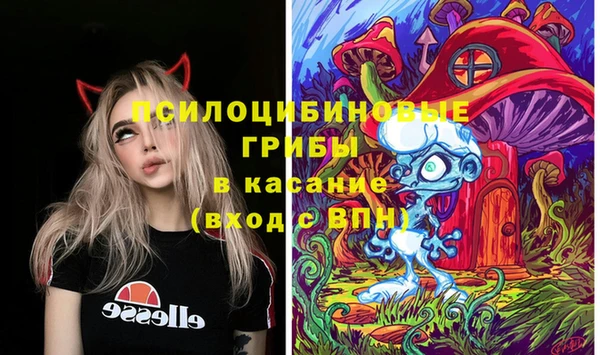 индика Новодвинск