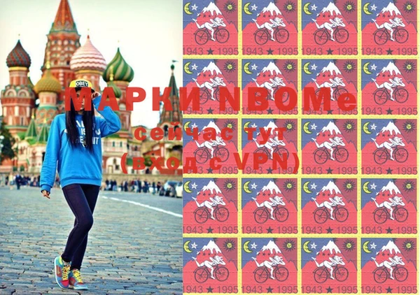 индика Новодвинск