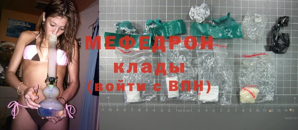 индика Новодвинск