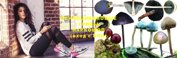 альфа пвп Новозыбков