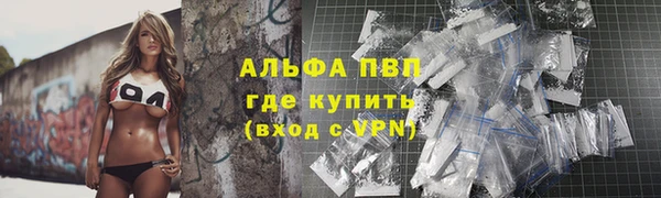 индика Новодвинск