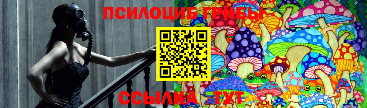 Галлюциногенные грибы мухоморы  наркотики  Унеча  Псилоцибиновые грибы мухоморы  Вход с VPN 