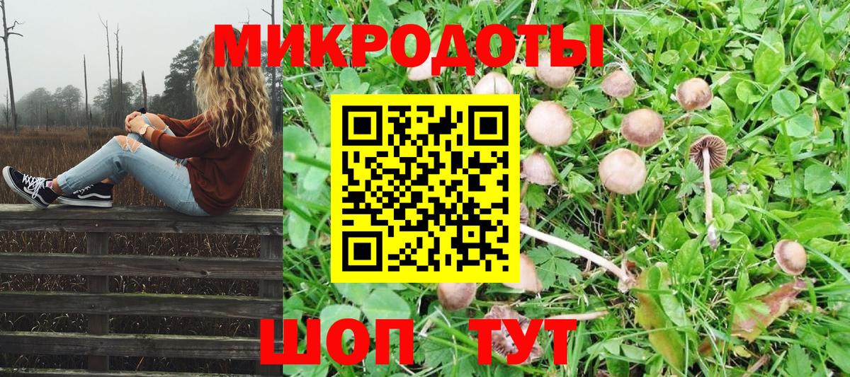 Галлюциногенные грибы мухоморы Унеча